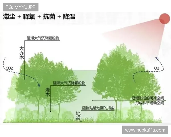 凯发国际网址积极响应国家政策，推动绿色健康博彩环境建设